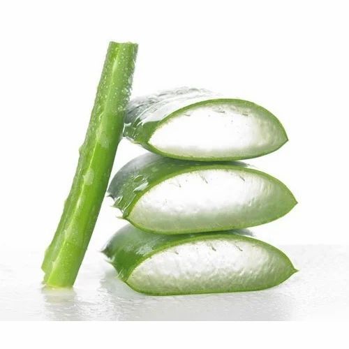 Raw Aloe Vera Leaf For Medicine And Cosmetic Industry, 50 Kg Packaging