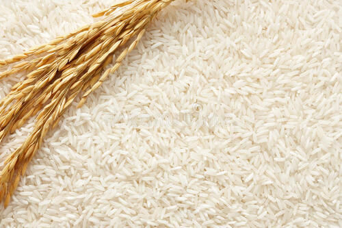  खाना पकाने के उपयोग के लिए प्रोटीन में उच्च सफेद 1010 चावल 