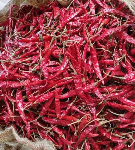 Hygienic Natural Dry Red Chilli For Food And Making Pickles Application: House