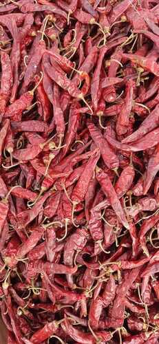Organic Spicy Dry Red Chillies For Food And Making Pickles