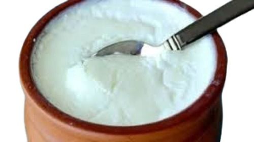 Raw Processed Original Flavor Pure Curd