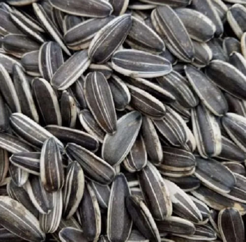 99% Pure A Grade Organic Dried Raw Hybrid Sunflower Seeds