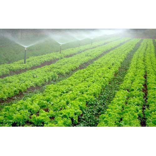 Rust Proof And Hard Structure Agriculture Irrigation System