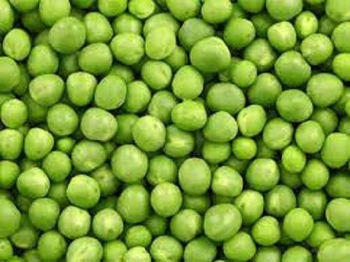 100 Percent Purity Nutrient Enriched Healthy Common Cultivation Fresh Green Peas