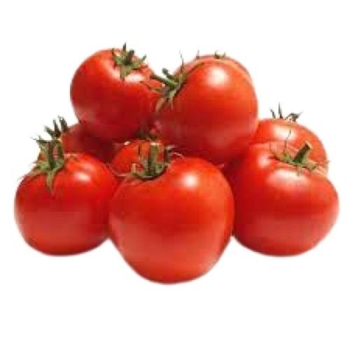 Naturally Grown Round Shape Sweet Flavor A-Grade Fresh Tomato For Cooking 