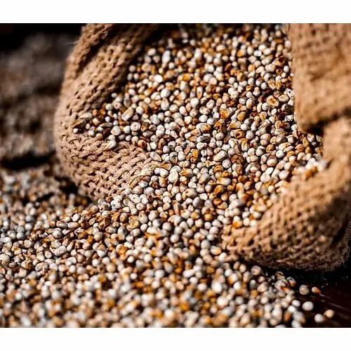 Pearl Millet Suji, Rich In Calcium Protein Iron & Magnesium 
