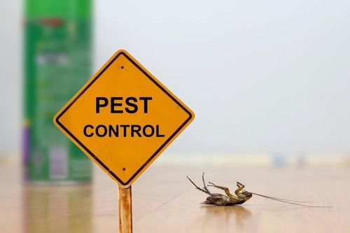 Pre Post Pest Control Service