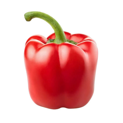 Pure And Natural Commonly Cultivated Raw Red Capsicum 