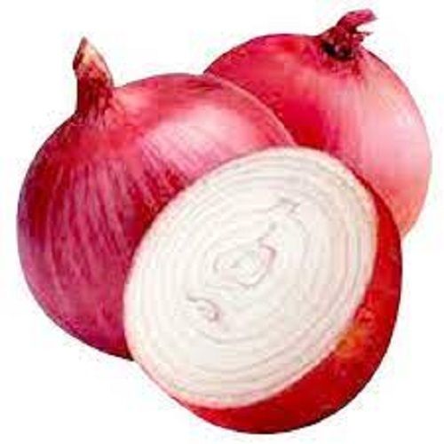 Red Onion