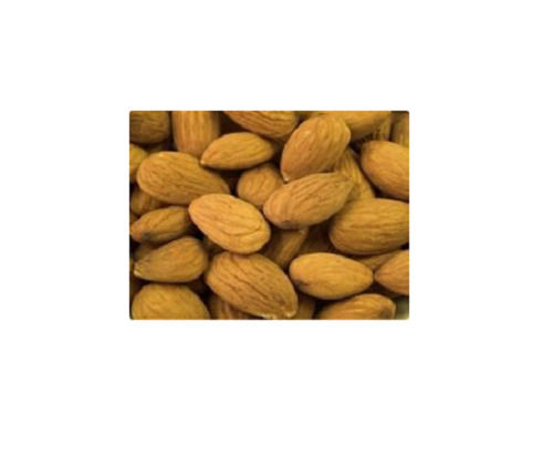 19% Moisture Common Cultivated Dried Almond