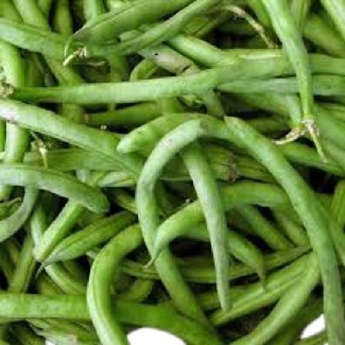 Commonly Cultivated Natural Raw Long Shape Raw Farm Fresh French Beans