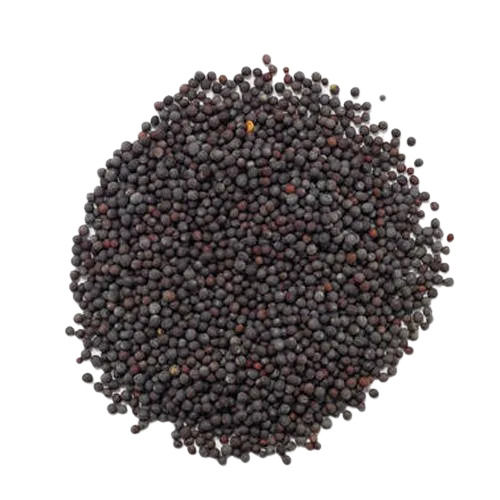 Commonly Cultivated Pure And Dried Raw Edible Non Hybrid Brown Mustard Seeds