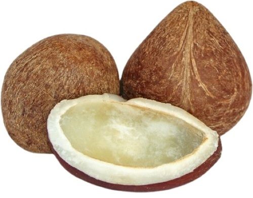 Diamond Shape Young Medium Size Commonly Cultivated Fres Dry Coconut 