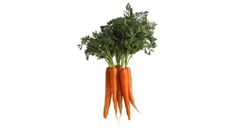 Healthy Naturally Grown Farm Fresh Sweet Long Shape Raw Carrot 