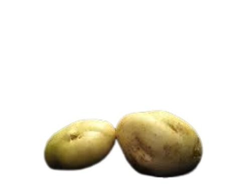 Naturally Grown Fresh Round Raw A-Grade Healthy Potato For Cooking  Moisture (%): 84%