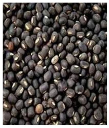 Pure And Dried Commonly Cultivated Raw Whole 8Mm Urad Dal Admixture (%): 1%