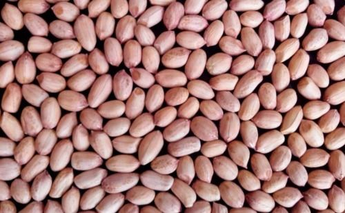 Commonly Cultivated Edible Pure And Raw Whole Peanut Seed