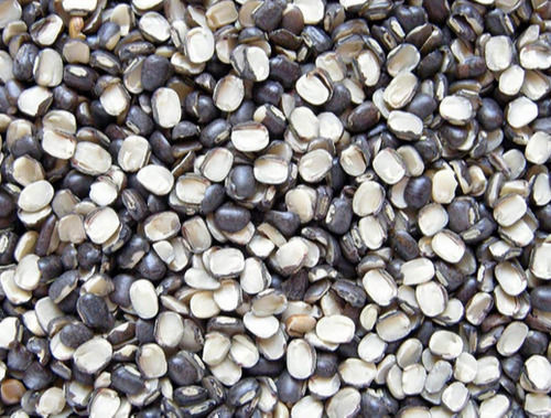 Organic Natural Dried Black Urad Dal For Cooking Use
