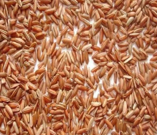  जैविक रूप से खेती स्वस्थ 99% शुद्ध मध्यम अनाज वाले सूखे भूरे चावल 