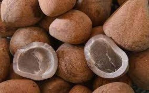  गोल मीठा स्वाद आमतौर पर उगाया जाने वाला प्राकृतिक सूखा नारियल
