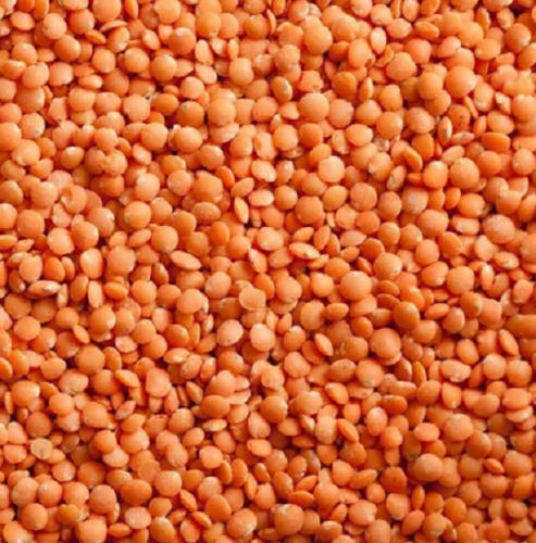 99% Pure And A Grade Dried Whole Lentils Admixture (%): 2%