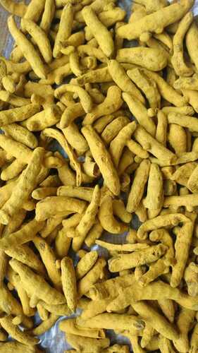 Natural Sun Dried Yellow Turmeric For Cooking And Medicine