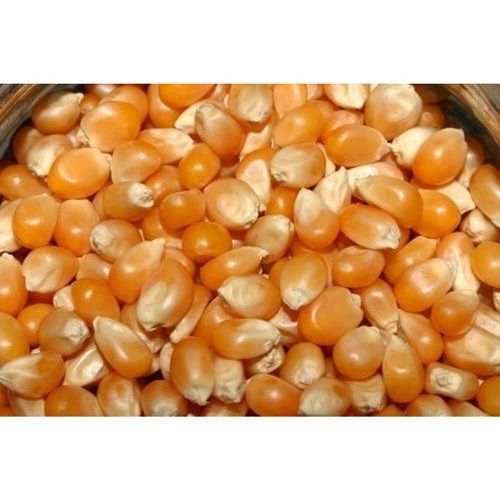 Organically Cultivated Rough Texture Low Air Temperature Dried Maize Admixture (%): 2