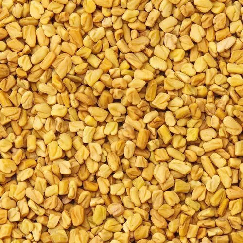 Pure And Dried Edible Organic Fenugreek Seeds With 12 Months Shelf Life