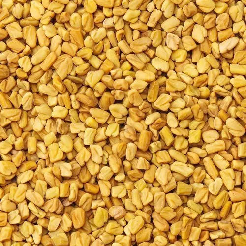 Pure And Dried Edible Organic Fenugreek Seeds With 12 Months Shelf Life Admixture (%): 1 %