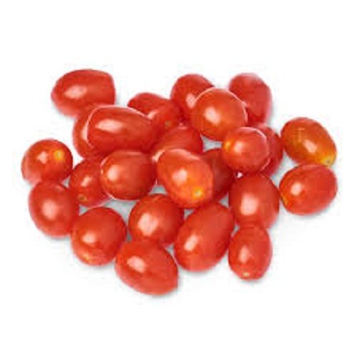 Ovel 100% Organic And Farm Fresh A Grade Red Tomato With Two Weeks Shelf Life