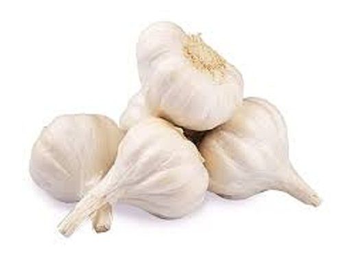 100 Percent Pure Organic And Farm Fresh A Grade Raw White Garlic