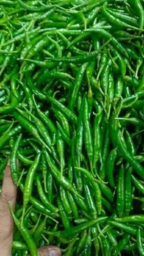 86.6% Moisture Raw Pure And Natural Organic Green Chilies  Moisture (%): 86.6