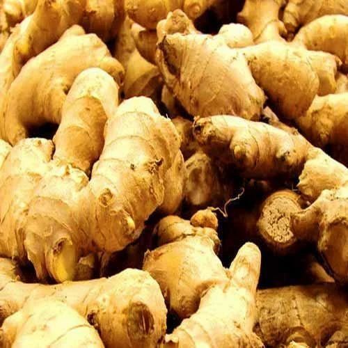 A Grade Brown Fresh Ginger, Available In Loose Packaging