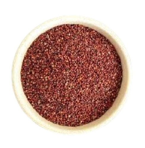 Common Cultivated Natural Hard Texture Pure Dried Finger Millet