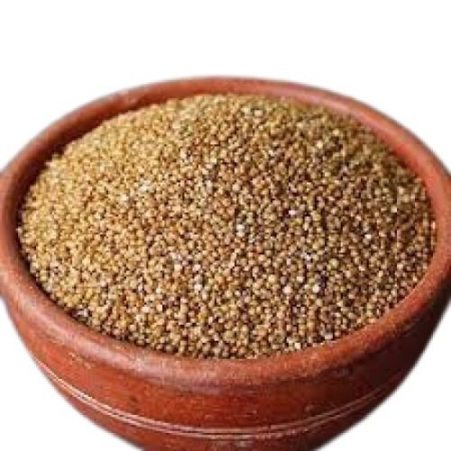 Naturally Grown Hard Texture Dried Pure Barnyard Millet Admixture (%): 0.5%