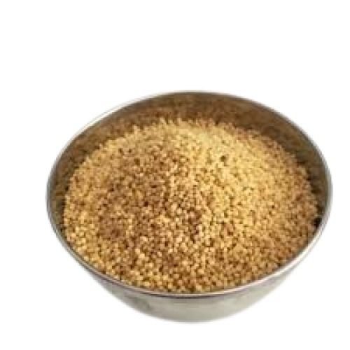 Naturally Grown Hard Texture Mild Flavor Gluten Free Foxtail Millet