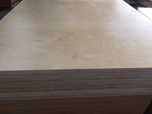 Poplar Face/Back Flat Mr Glue Coated First-Class Graded Marine Plywood Density: 0.85 Gram Per Cubic Centimeter(G/Cm3)