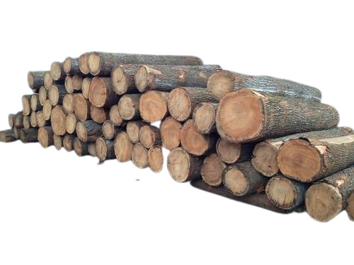 300 टन भार क्षमता वाले कार्बोनाइज्ड टिम्बर लॉग घरों और फर्नीचर के निर्माण के लिए कोर सामग्री: लकड़ी