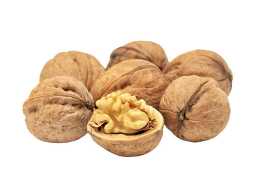 8% Moisture 5% Broken Sweet And Earthy Common Cultivation Dried Raw Walnut