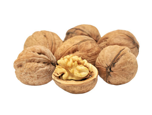 8% Moisture 5% Broken Sweet And Earthy Common Cultivation Dried Raw Walnut Broken (%): 5