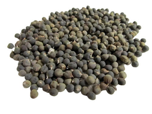 Dried Commonly Cultivated Non Edible Hybrid Okra Seeds