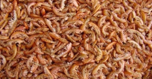 Rich In Vitamins And Minerals Dried Fish