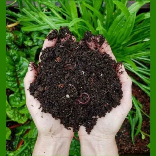Vermicompost Fertilizer Powder For Agriculture, Used In Home Gardening