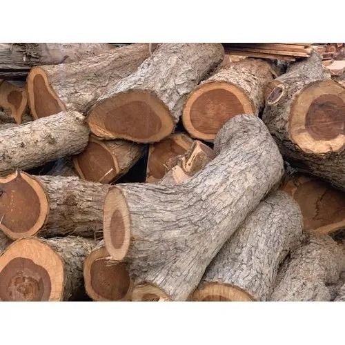 Wood Log For Agricultural Tools Carvings And Boatbuilding Density: 500 Kilogram Per Cubic Meter (Kg/M3)