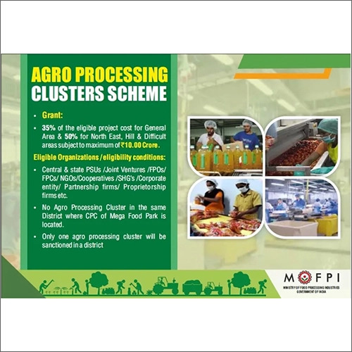 Silver Agro Processing Consultant Services