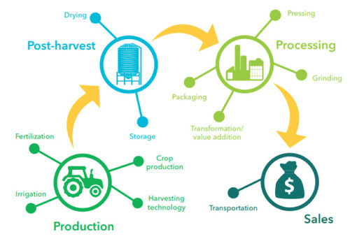 Silver Agro Processing Consultant Services