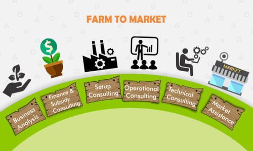 Agro Processing Consultant Services