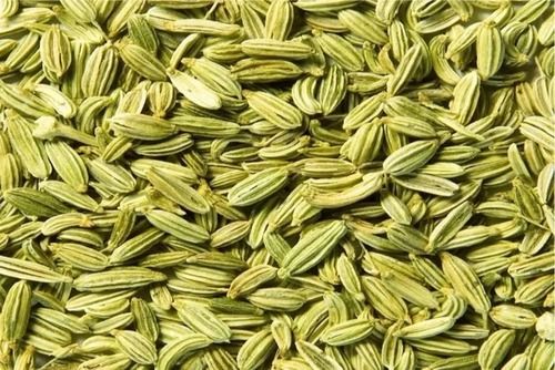 Dried Organic Fennel Seeds With A Shelf Life Of 2 Weeks Using In Chutneys