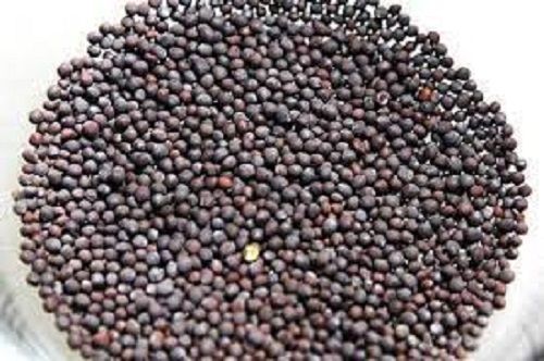 Mustard Seeds Admixture (%): 1