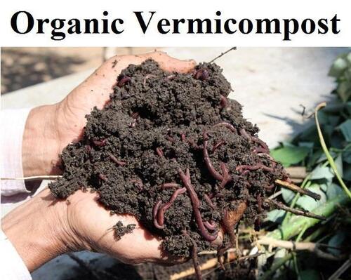 Quick Agriculture Crop Growing Organic Natural Vermicompost